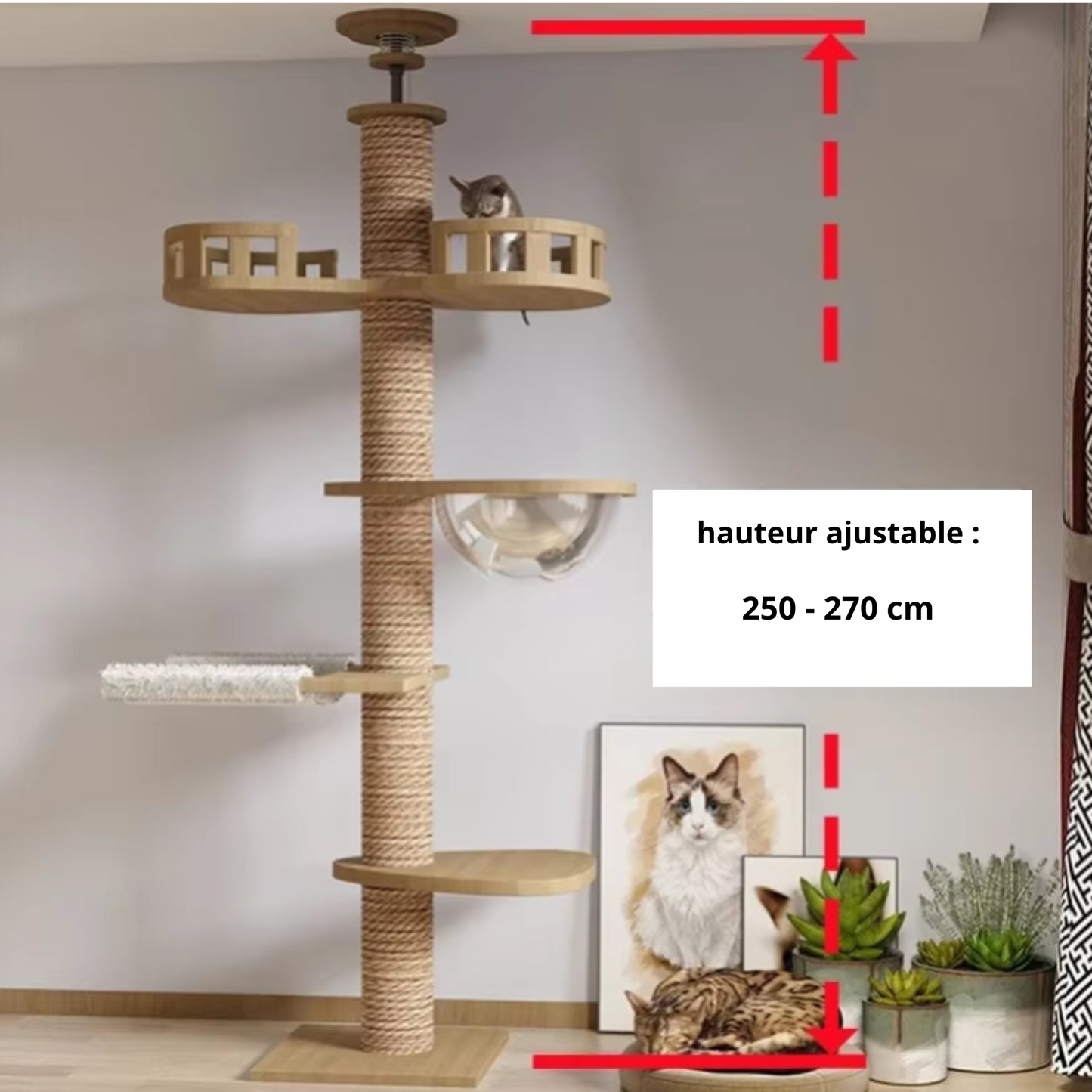 Arbre à Chat XXL en Bois Naturel – Ajustable Plafond, Ultra Stable avec Hamac, Spécial Chats de Grande Taille et Maine Coon
