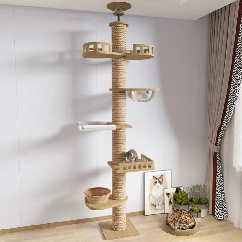 Arbre à Chat XXL en Bois Naturel – Ajustable Plafond, Ultra Stable avec Hamac, Spécial Chats de Grande Taille et Maine Coon