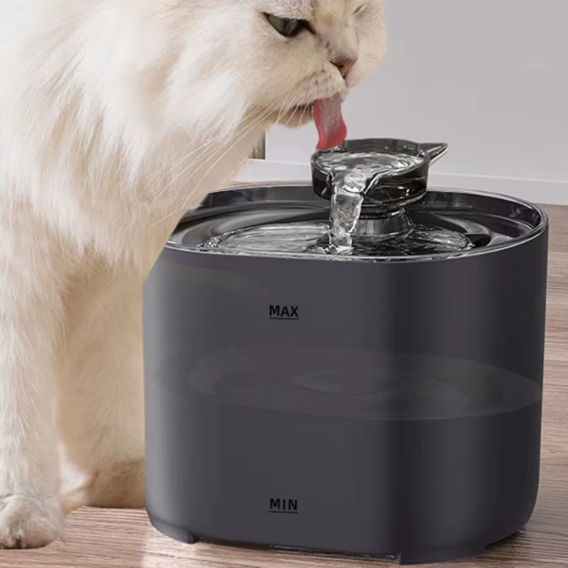 Automatic Pet Water Fountain, Cat Water Dispenser, 1 Replacement Filter for Cats and Dogs, 84Oz, 2.5L